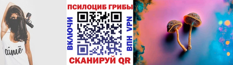 гидра вход  где купить наркотик  Собинка  Галлюциногенные грибы Cubensis 